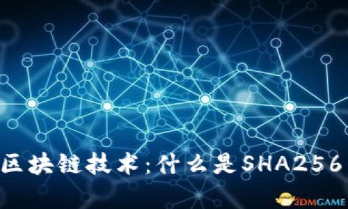 了解区块链技术:什么是SHA256算法?
