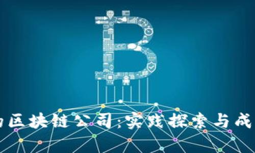 应用落地的区块链公司：实践探索与成功案例分析