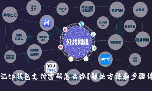 忘记tp钱包支付密码怎么办?解决方法和步骤详解