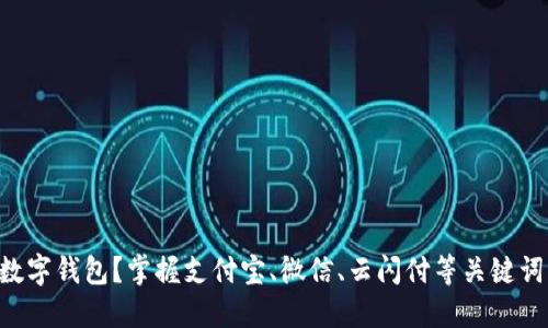 国内还能用哪个数字钱包?掌握支付宝、微信、云闪付等关键词,畅享无现金支付