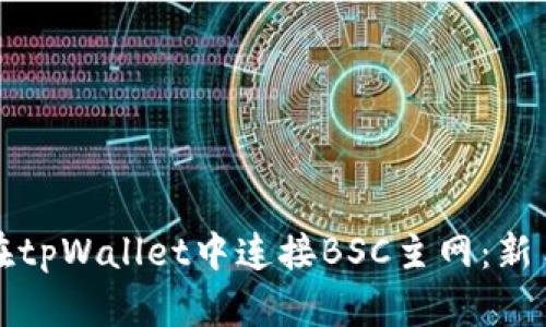 如何在tpWallet中连接BSC主网:新手指南
