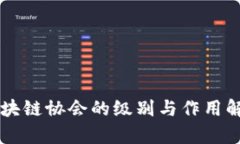 区块链协会的级别与作用解析