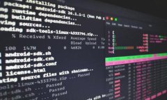 冷钱包可以转存USDT吗？详解与实用指南冷钱包