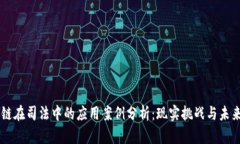 区块链在司法中的应用案例分析：现实挑战与未