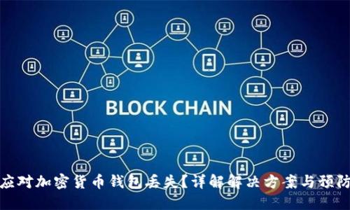 如何应对加密货币钱包丢失？详解解决方案与预防措施