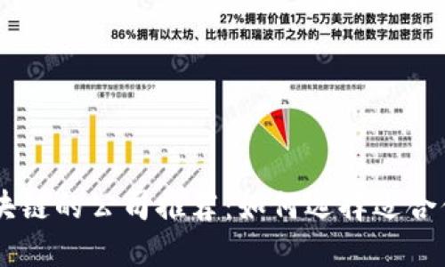 应用区块链的公司推荐：如何选择适合你的项目