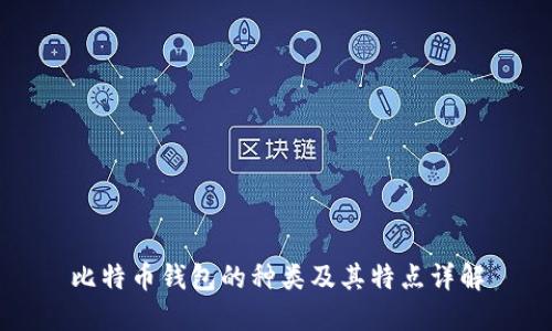 比特币钱包的种类及其特点详解
