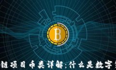 区块链项目币类详解：什么是数字货币？