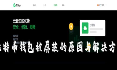 比特币钱包被屏蔽的原因与解决方案