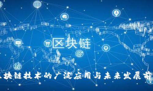 区块链技术的广泛应用与未来发展前景