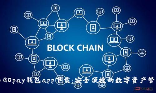 虚拟币GOpay钱包app下载：安全便捷的数字资产管理工具