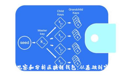 如何观察和分析区块链钱包：从基础到实用技巧