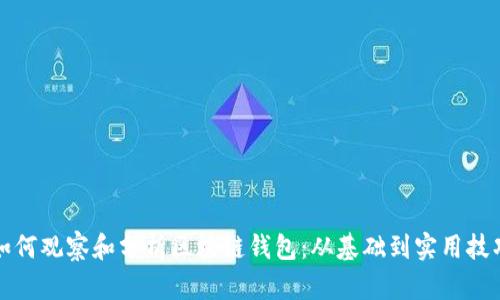 如何观察和分析区块链钱包：从基础到实用技巧