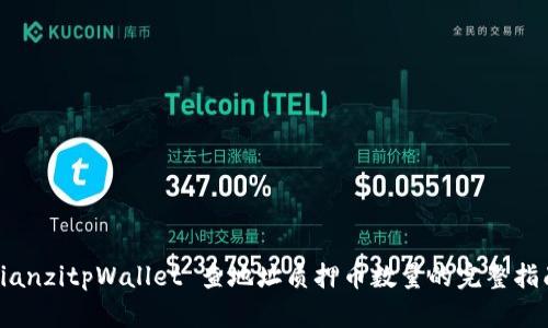 bianzitpWallet 查地址质押币数量的完整指南
