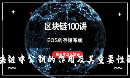 区块链中公钥的作用及其重要性解析