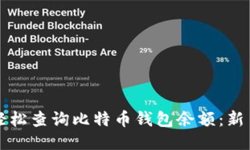 如何轻松查询比特币钱包余额：新手指南