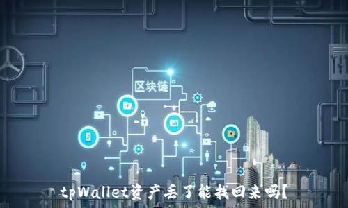   
tpWallet资产丢了能找回来吗？