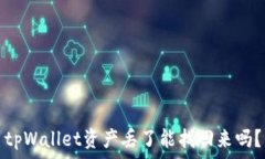   tpWallet资产丢了能找回来吗？