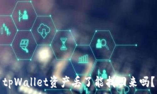   
tpWallet资产丢了能找回来吗？