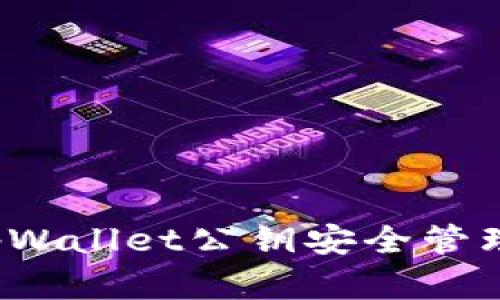 如何使用tpWallet公钥安全管理数字资产？