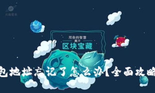 : 比特币钱包地址忘记了怎么办？全面攻略与解决方案