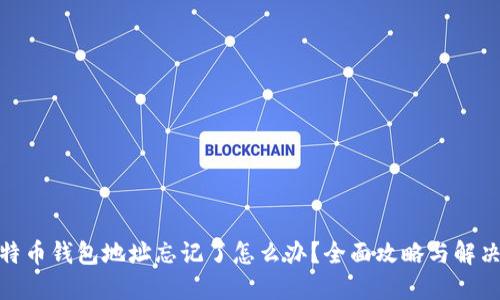 : 比特币钱包地址忘记了怎么办？全面攻略与解决方案
