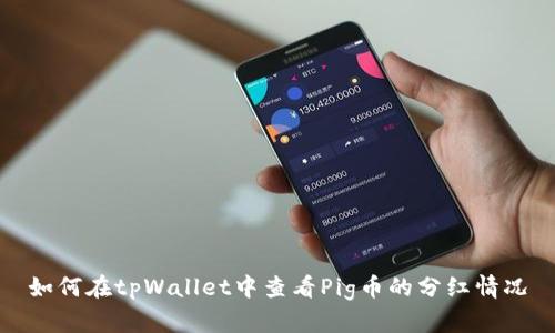 如何在tpWallet中查看Pig币的分红情况
