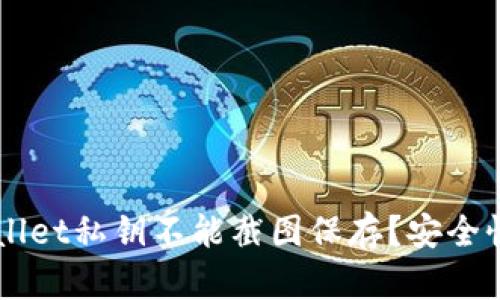 为什么tpWallet私钥不能截图保存？安全性与风险分析