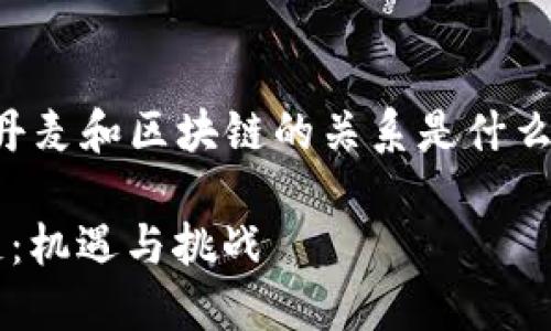 以下是关于“丹麦和区块链的关系是什么”的内容结构：

丹麦与区块链：机遇与挑战