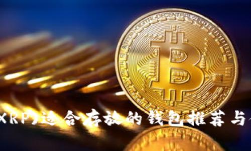 瑞波币(XRP)适合存放的钱包推荐与使用指南