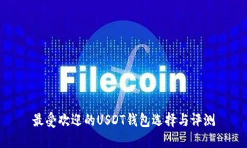 最受欢迎的USDT钱包选择与评测
