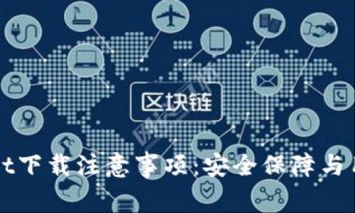 tpWallet下载注意事项：安全保障与用户指南