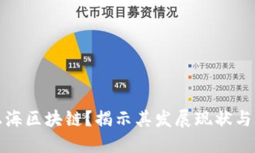 什么是上海区块链？揭示其发展现状与未来趋势