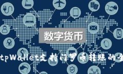 ### tpWallet支持门罗币转账的全面指南