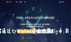 : 如何通过tpWallet安全购买Pig币：新手指南
