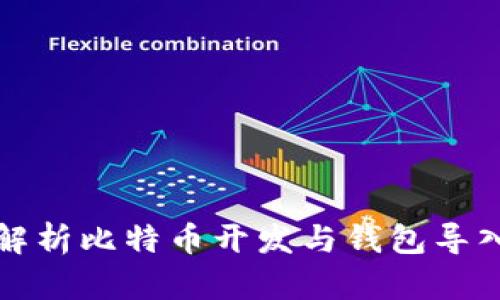 全面解析比特币开发与钱包导入技巧