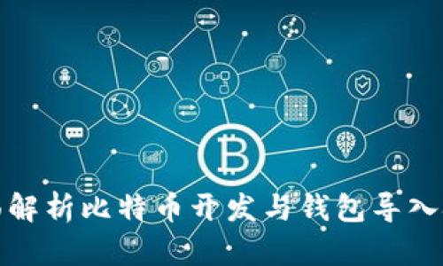 全面解析比特币开发与钱包导入技巧