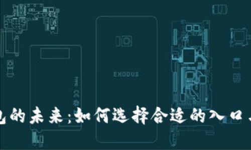 区块链钱包的未来：如何选择合适的入口与使用策略
