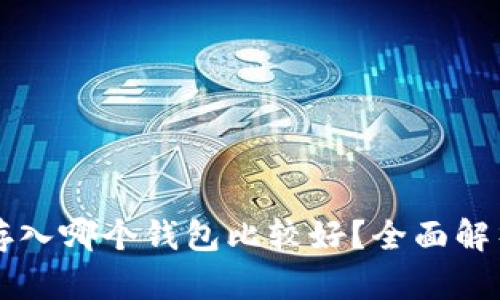 狗狗币存入哪个钱包比较好？全面解析与推荐