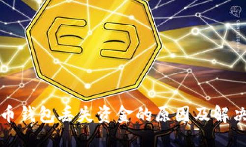 比特币钱包丢失资金的原因及解决方案