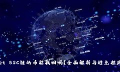 ### tpWallet BSC链的币能找回吗？全面解析与避免损