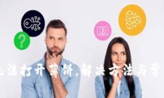 tpWallet无法打开薄饼，解决方法与常见问题解析