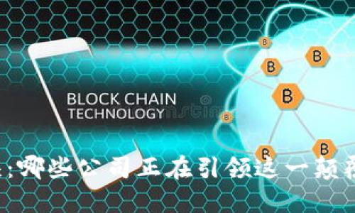 区块链行业龙头：哪些公司正在引领这一颠覆性技术的未来？