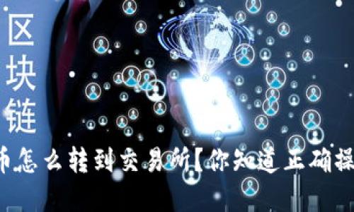 tpWallet币怎么转到交易所？你知道正确操作流程吗？