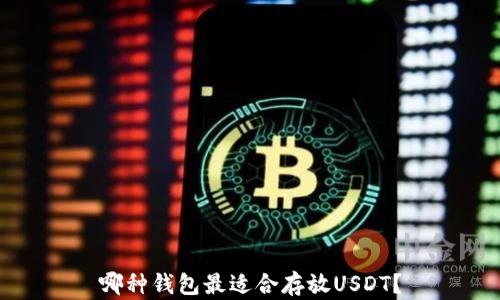 
哪种钱包最适合存放USDT？