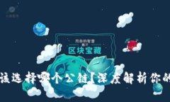 tpWallet该选择哪个公链？深