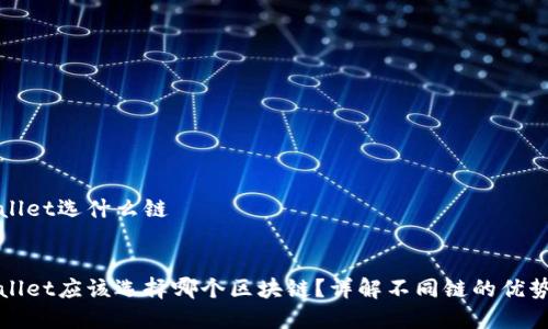 提币到tpWallet选什么链
:
提币到tpWallet应该选择哪个区块链?详解不同链的优势与适用场景