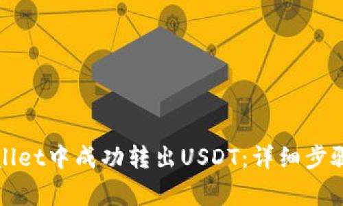 如何在tpWallet中成功转出USDT：详细步骤与注意事项